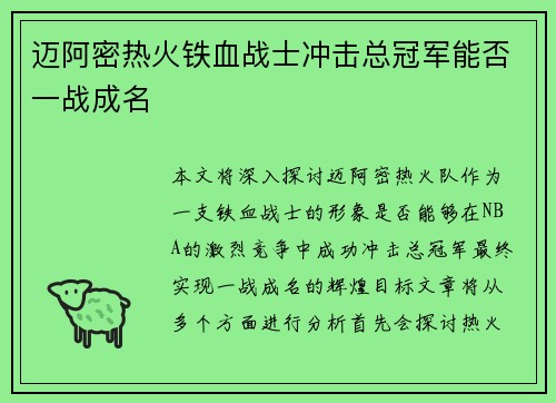 迈阿密热火铁血战士冲击总冠军能否一战成名
